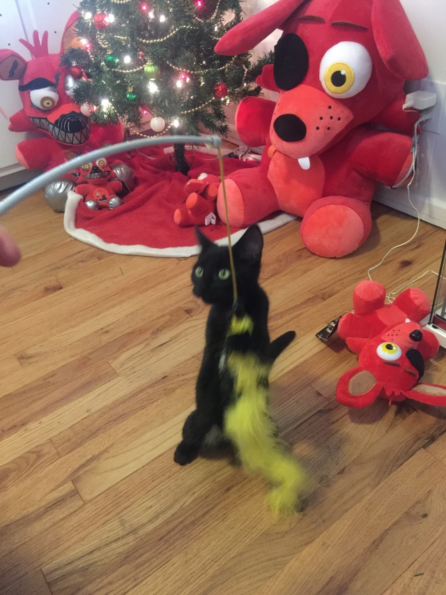 Black kitten playing with a yellow feather. An Xmas tree is in the background.